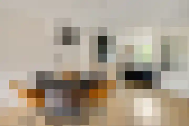 Pappelhof 18 Roermond thumbnail 10