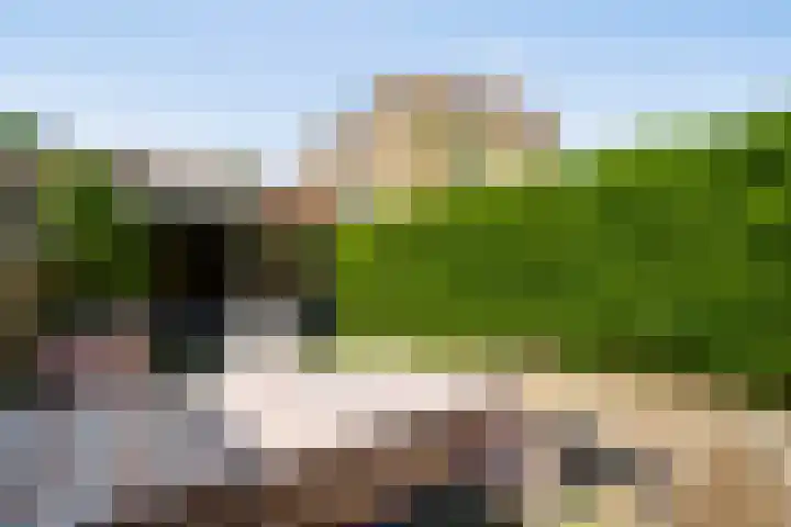 Pappelhof 18 Roermond thumbnail 14