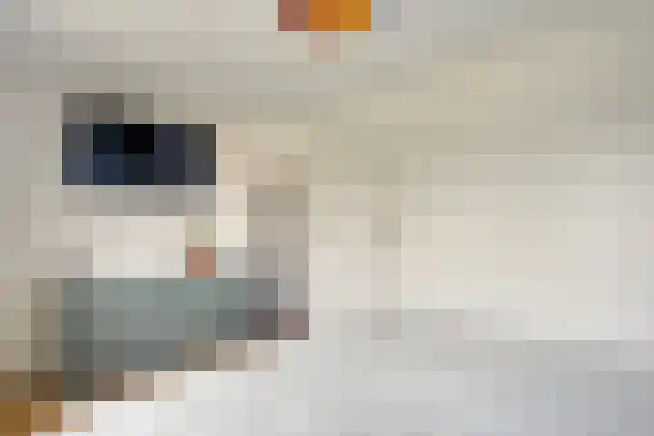 Pappelhof 18 Roermond thumbnail 20