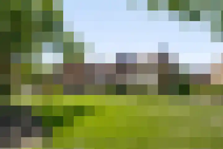 Pappelhof 18 Roermond thumbnail 27