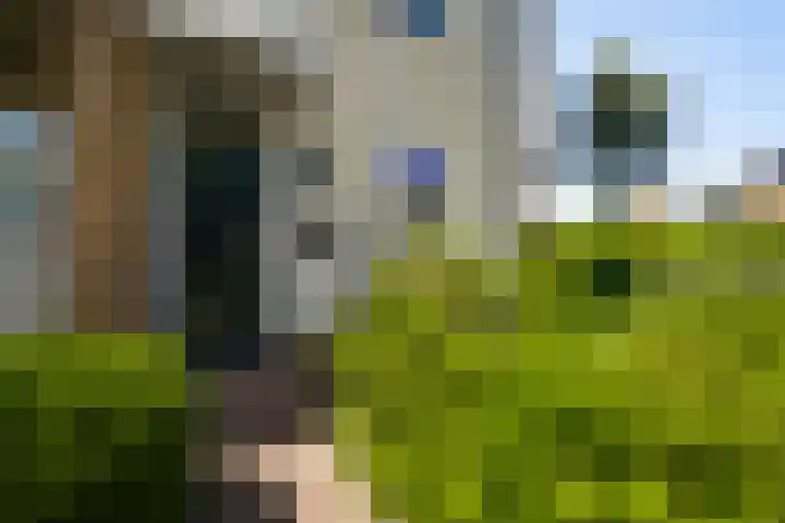 Pappelhof 18 Roermond thumbnail 5