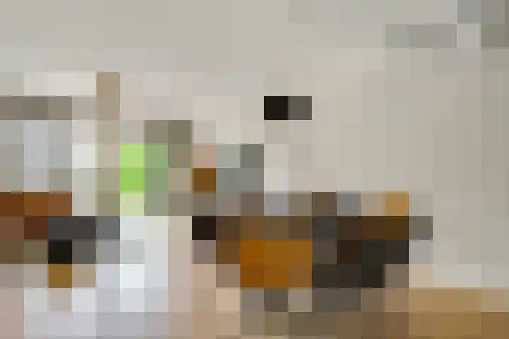 Pappelhof 18 Roermond thumbnail 7