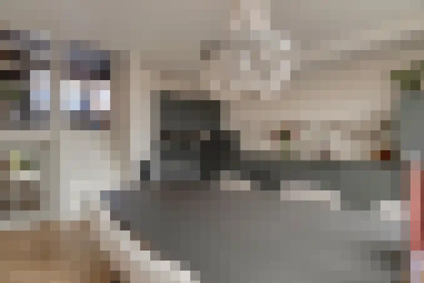 Pappelhof 30 Roermond thumbnail 11