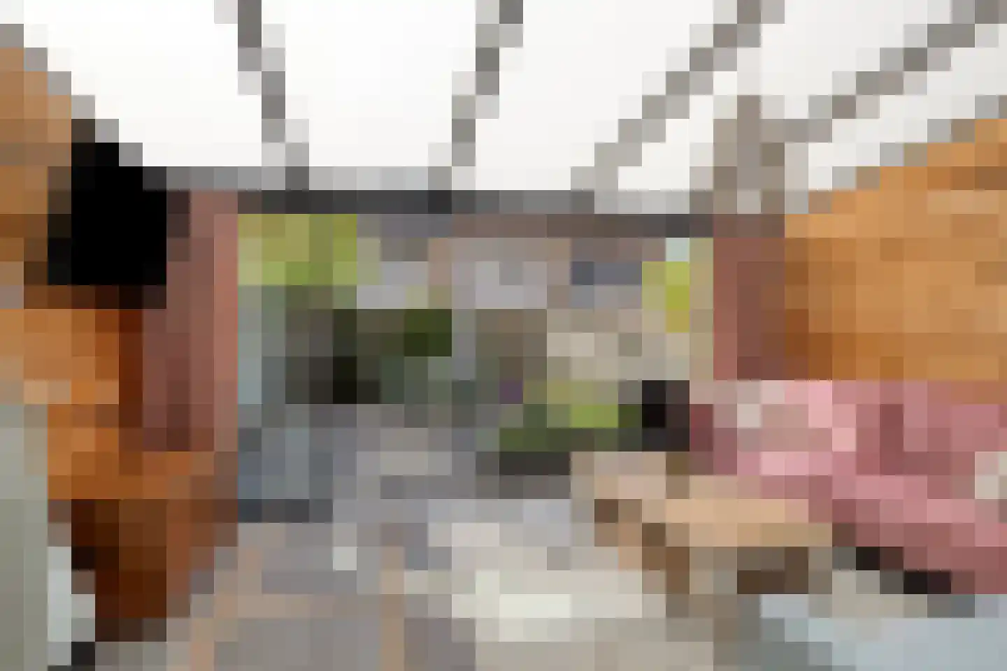 Pappelhof 30 Roermond thumbnail 18