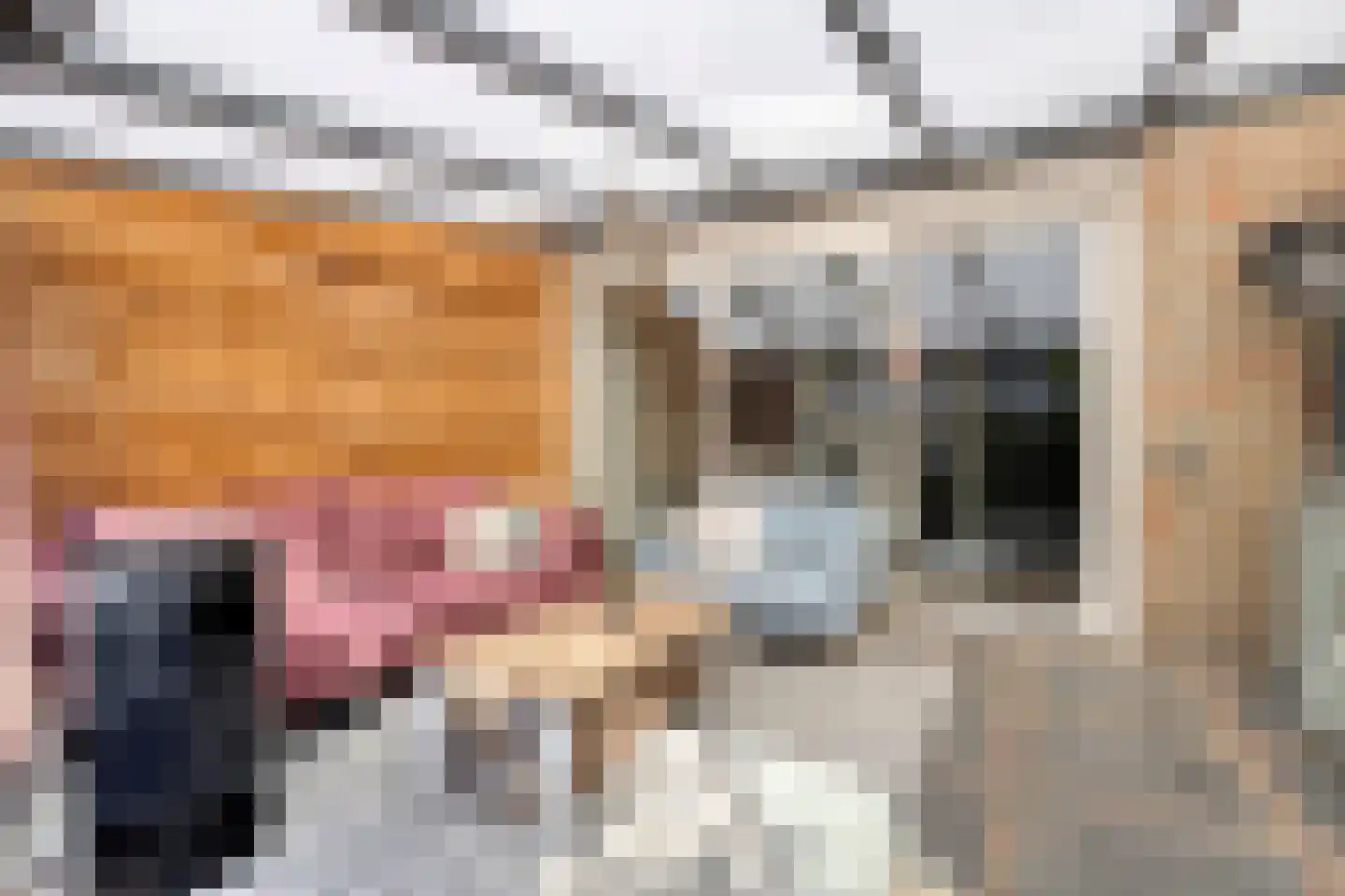 Pappelhof 30 Roermond thumbnail 19