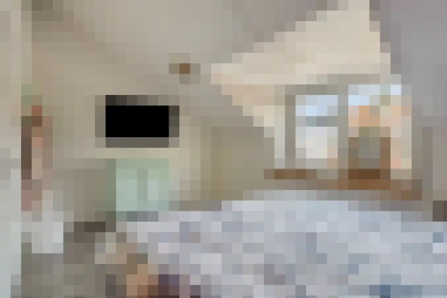 Pappelhof 30 Roermond thumbnail 32