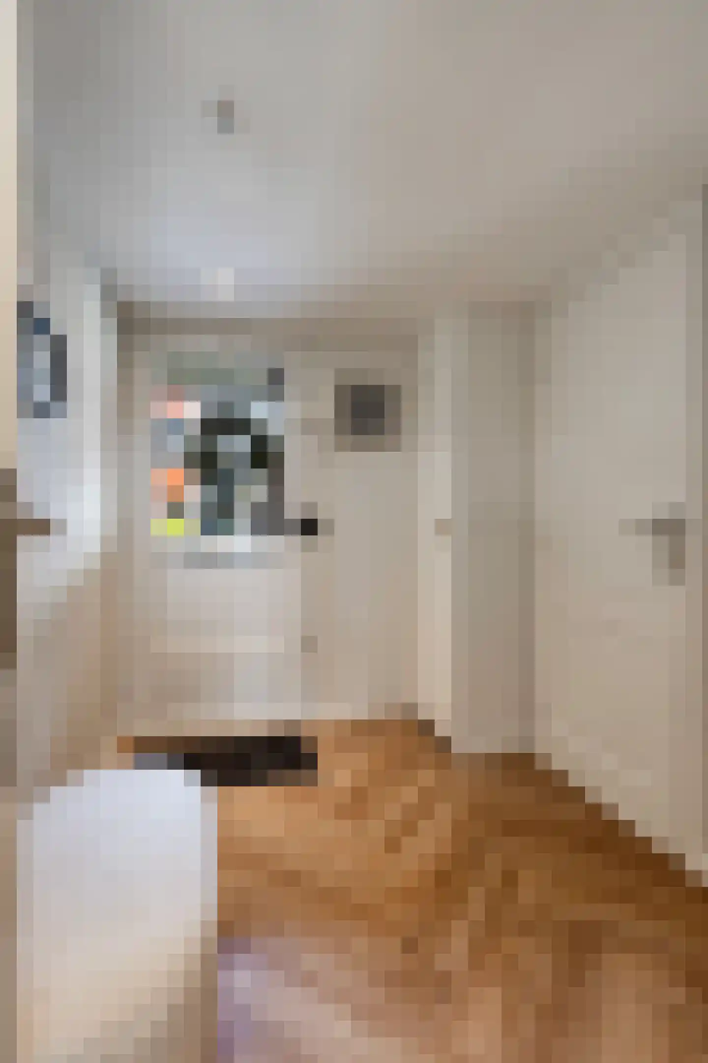 Pappelhof 30 Roermond thumbnail 36