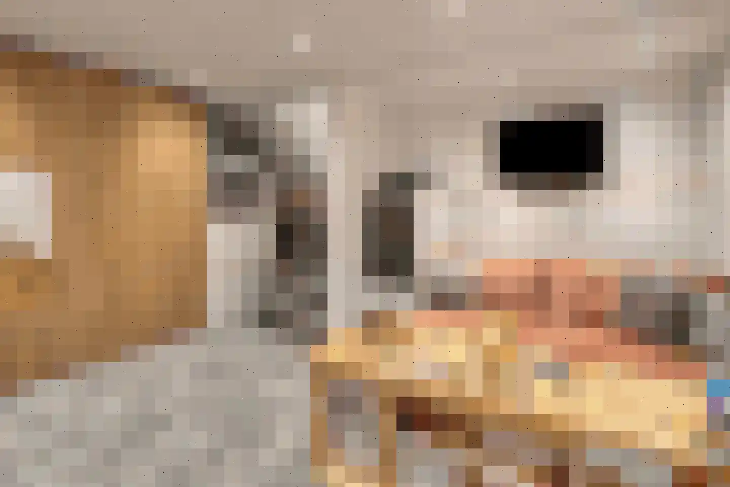 Pappelhof 30 Roermond thumbnail 6