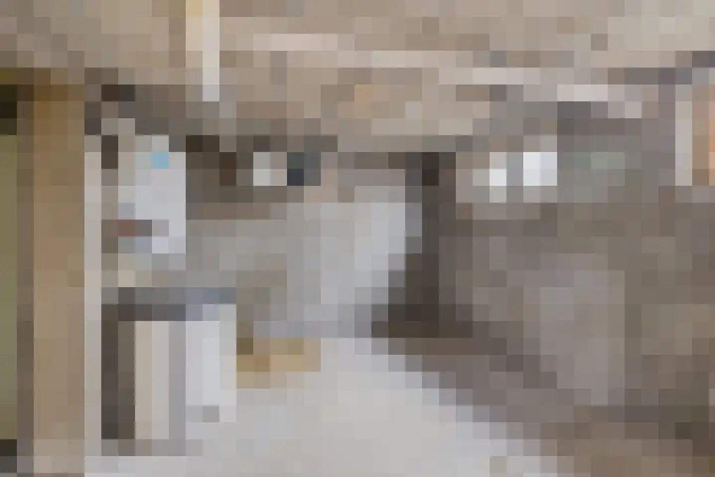 Pappelweg 2 Haren thumbnail 32
