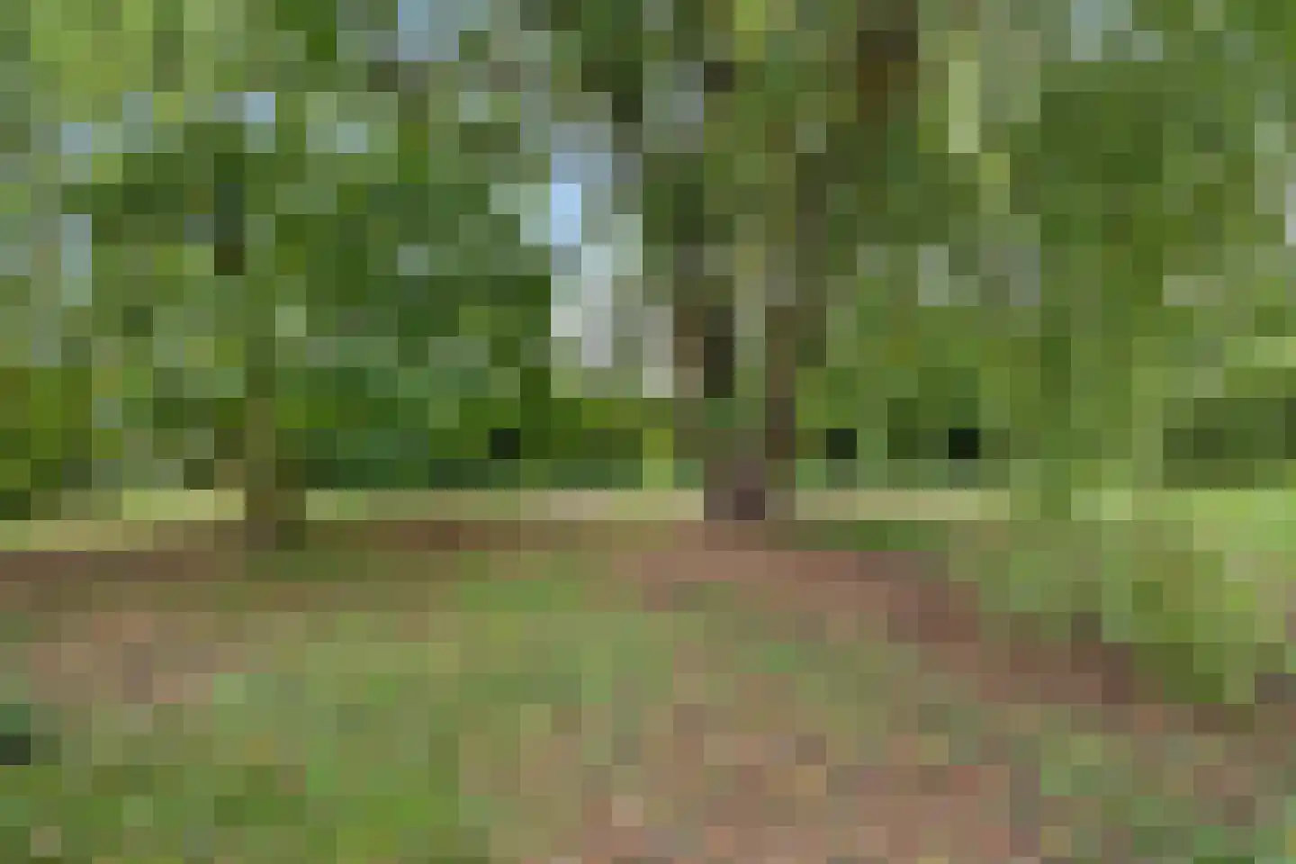 Pappelweg 2 Haren thumbnail 34