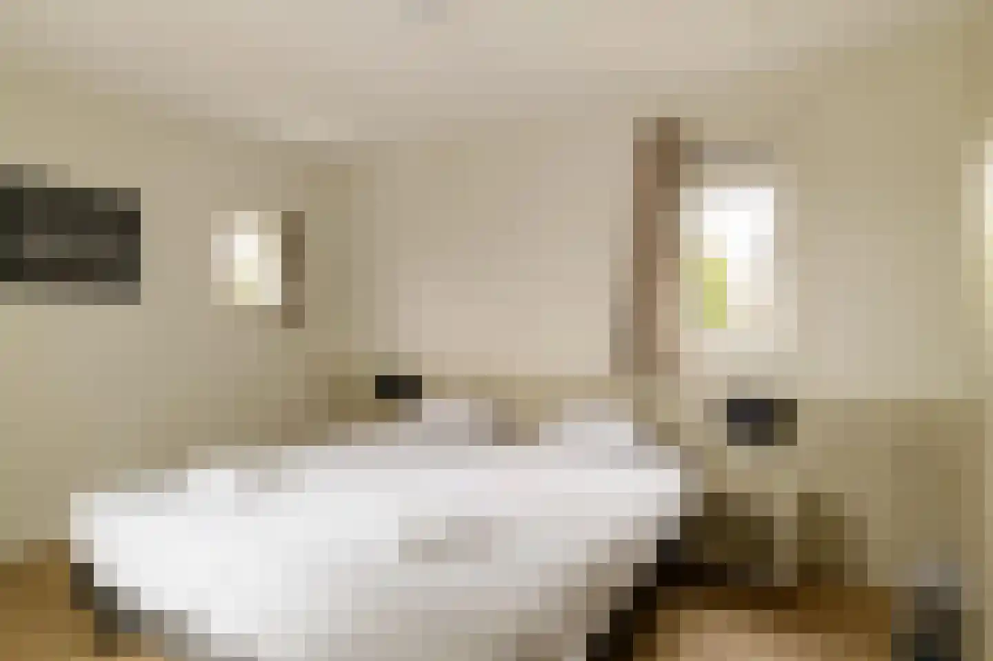 Pappenheim 1 Maastricht thumbnail 12