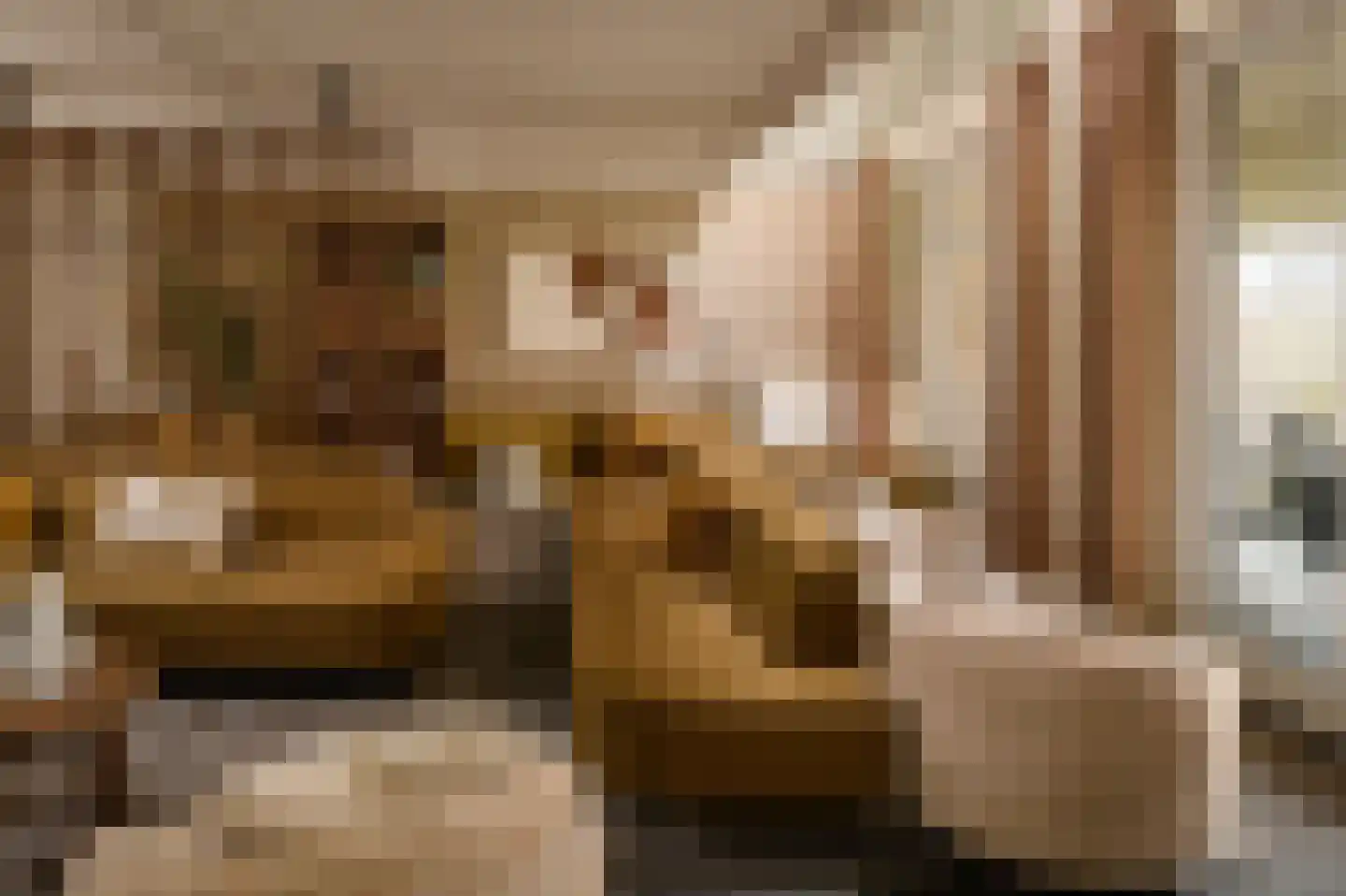 Pappenheim 1 Maastricht thumbnail 14