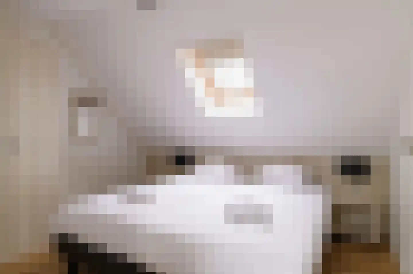 Pappenheim 1 Maastricht thumbnail 23