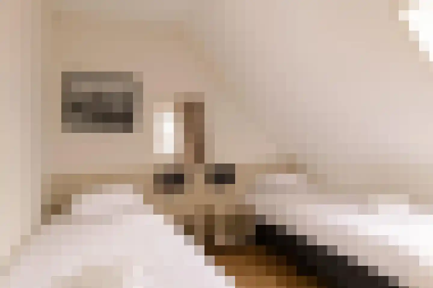 Pappenheim 1 Maastricht thumbnail 8
