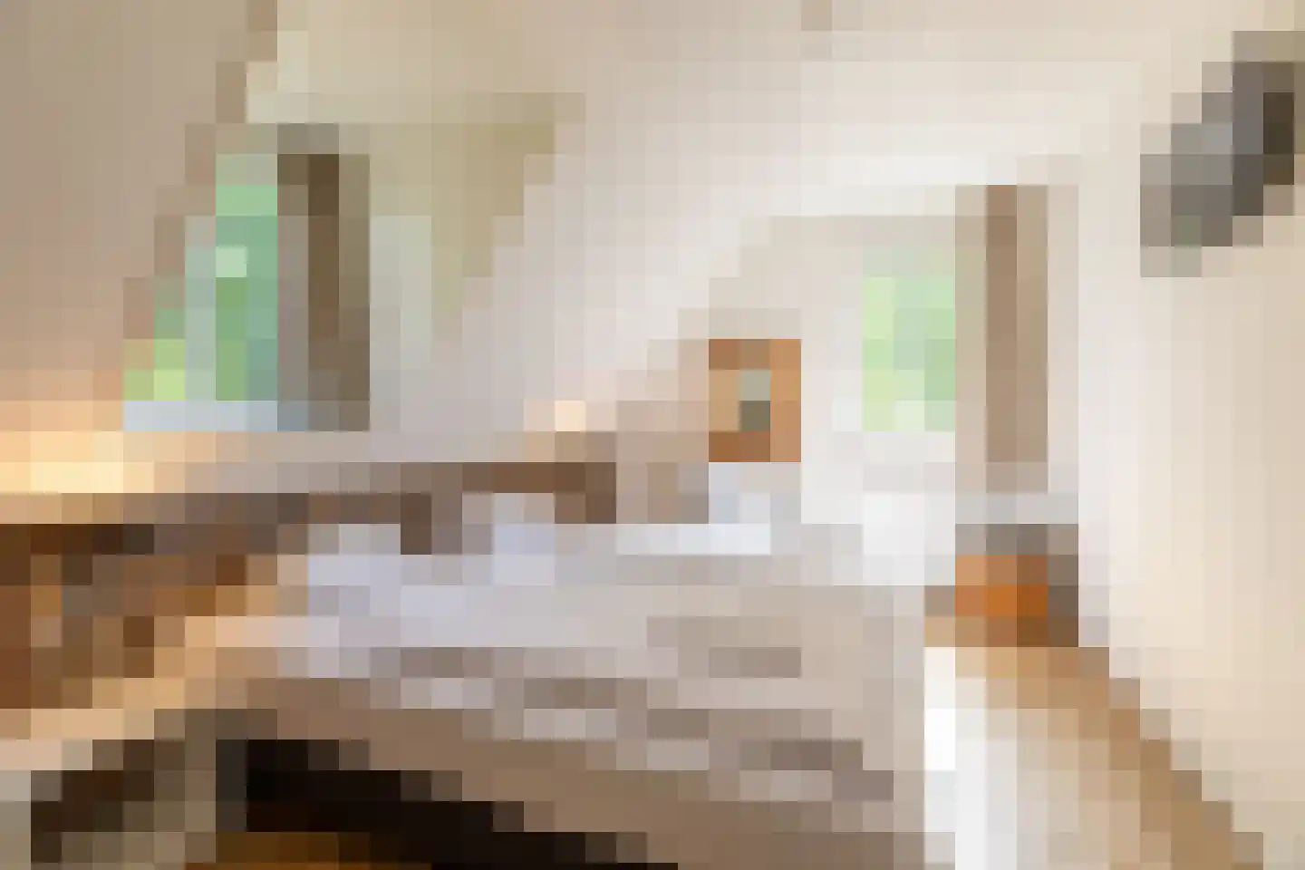 Pappenheim 3 Maastricht thumbnail 14