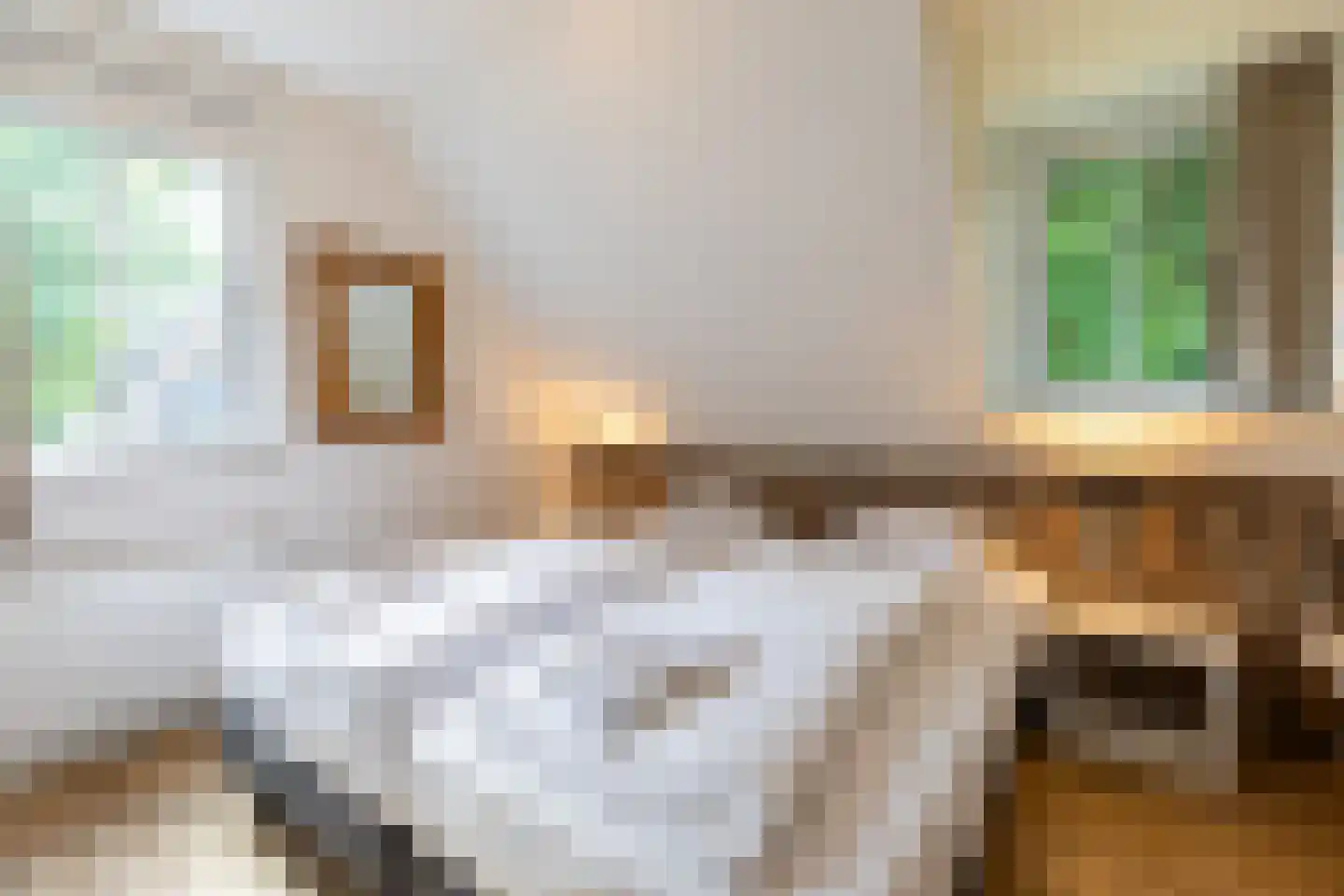 Pappenheim 3 Maastricht thumbnail 16