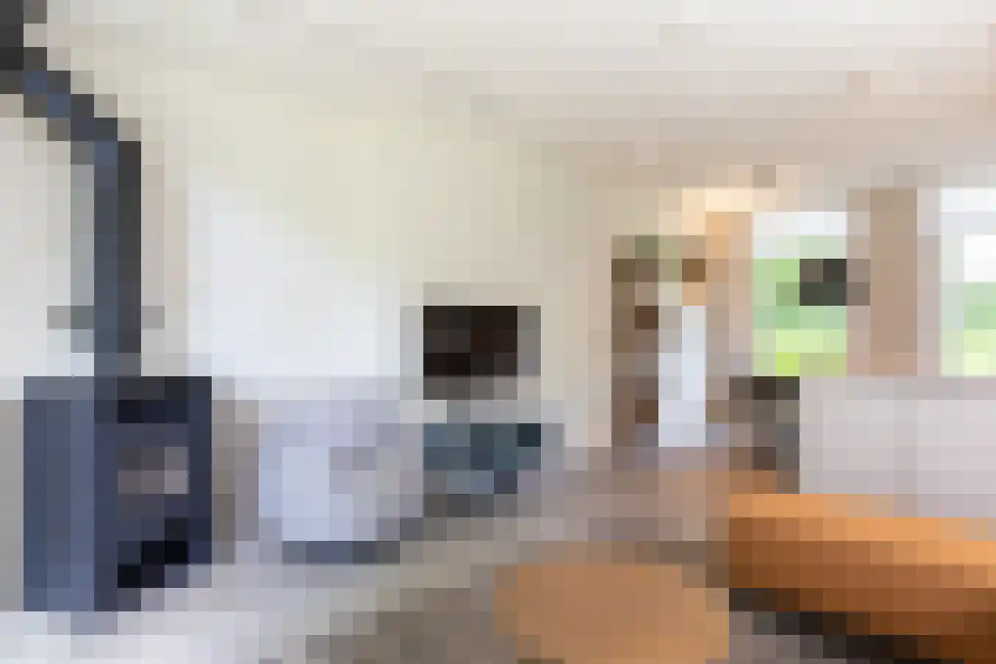 Pappenheim 3 Maastricht thumbnail 8