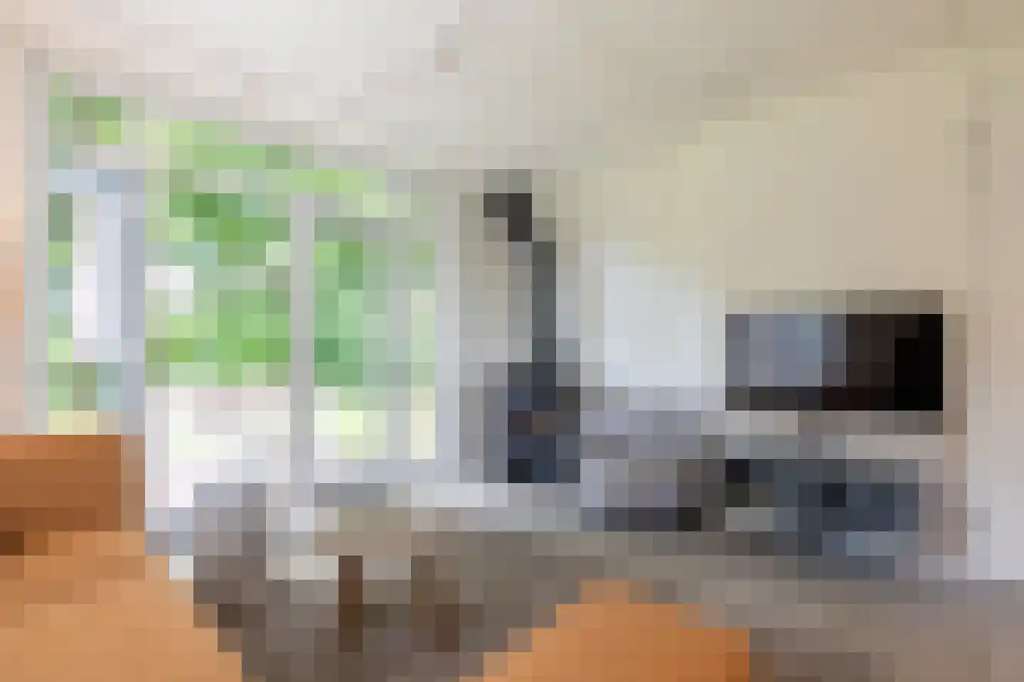 Pappenheim 3 Maastricht thumbnail 9