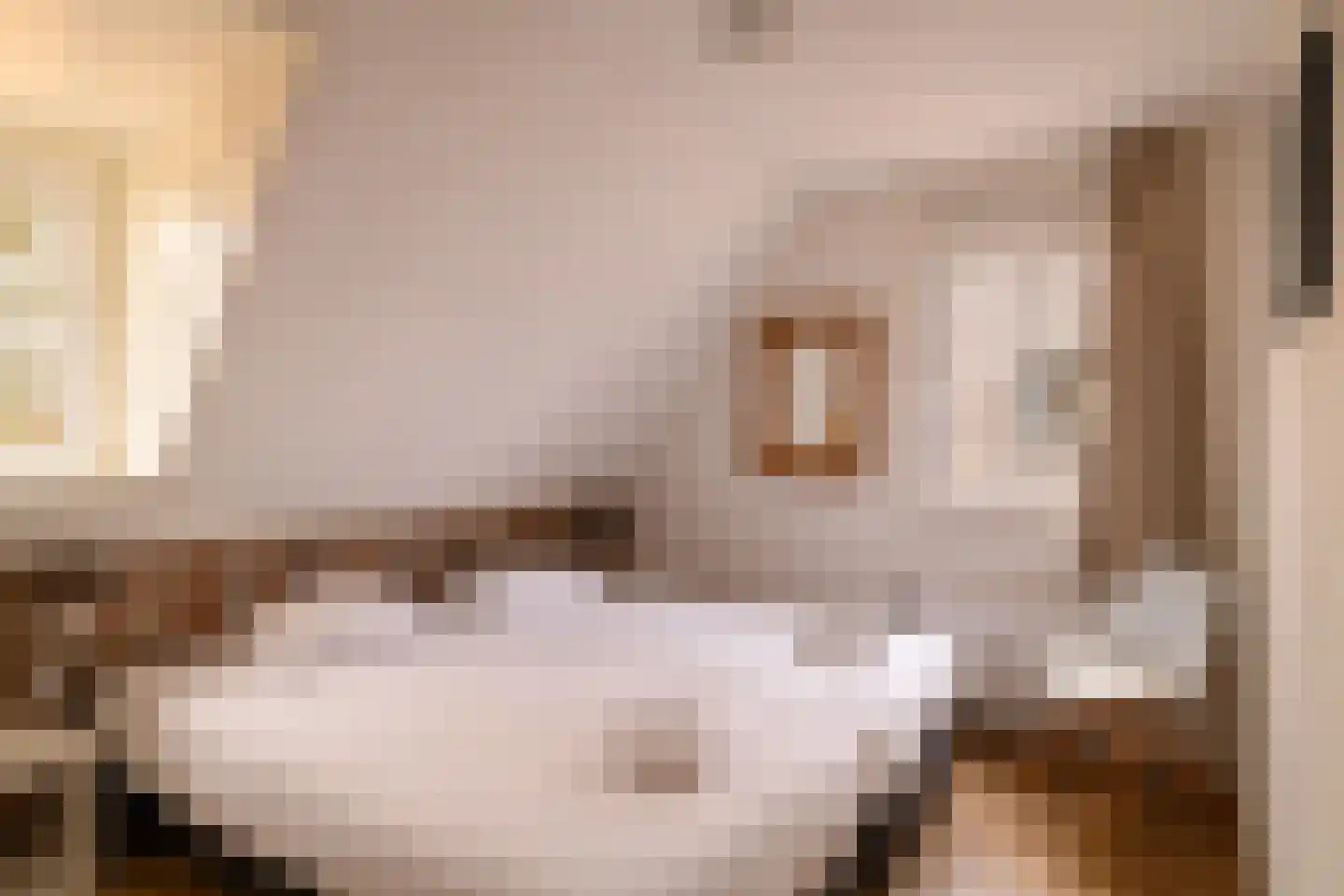 Pappenheim 5 Maastricht thumbnail 9