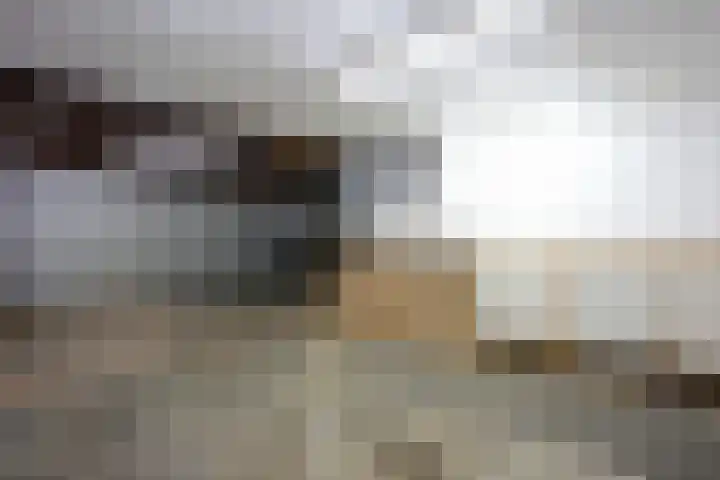 Pappersjans 20 Heerlen thumbnail 12
