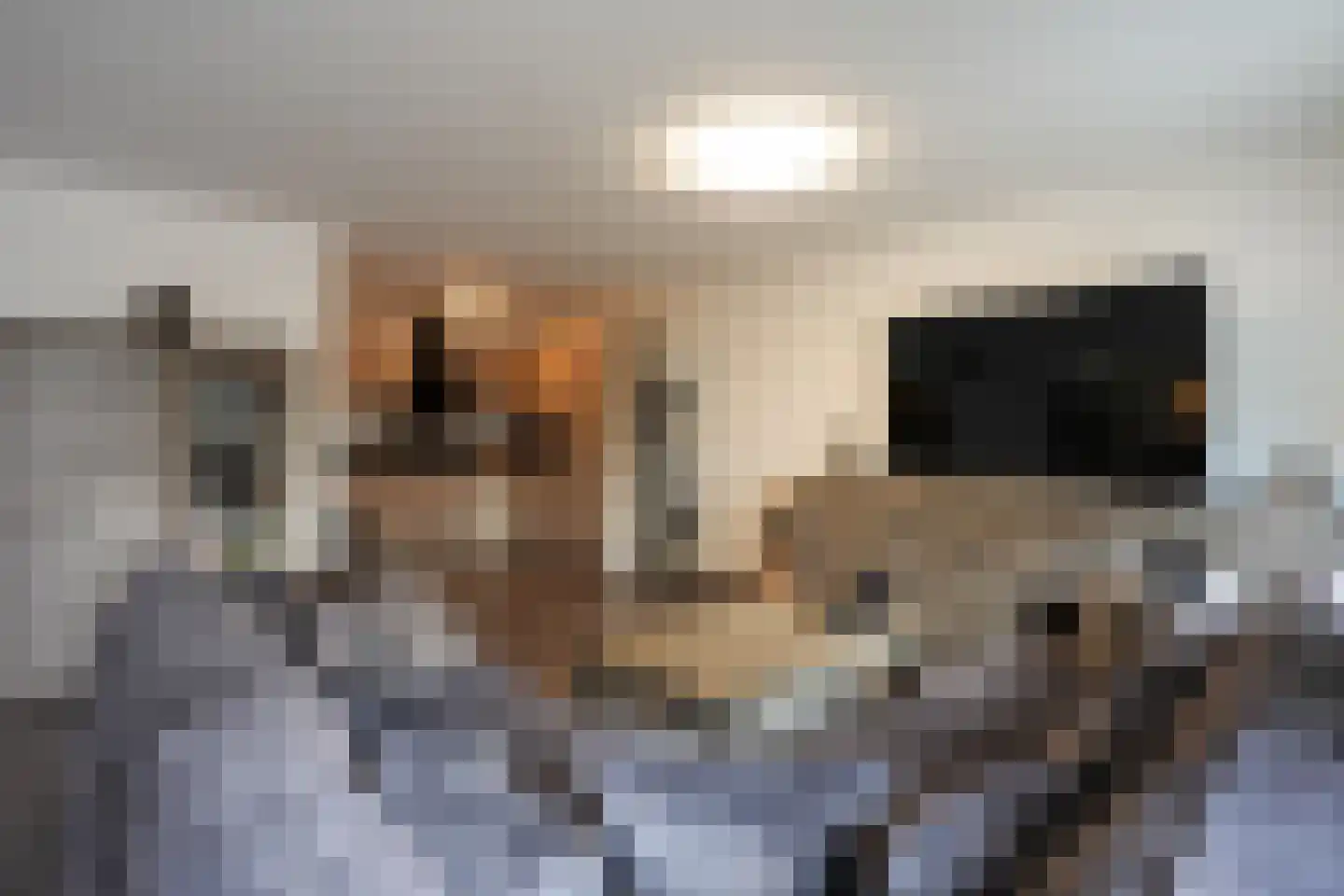 Pappersjans 5 B Heerlen thumbnail 4