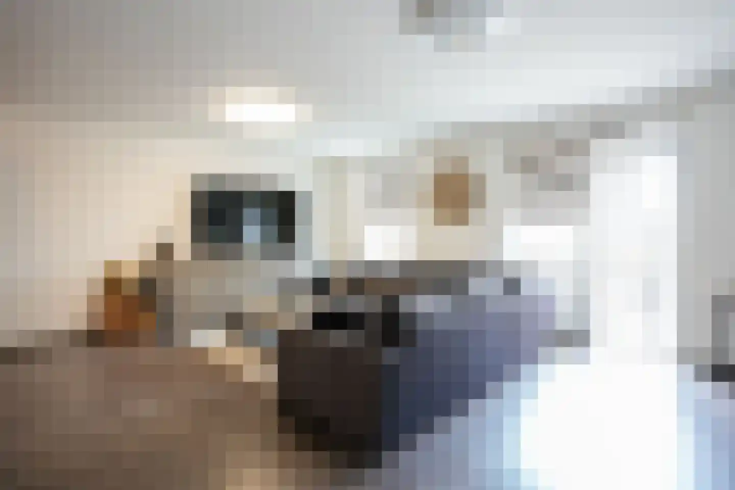 Pappersjans 5 B Heerlen thumbnail 7