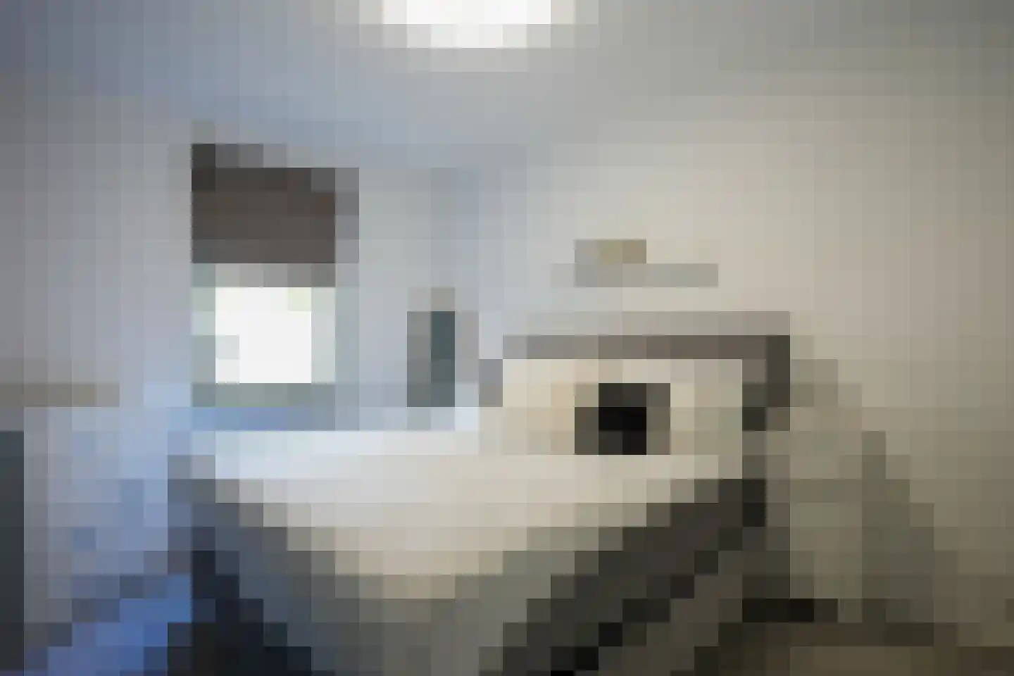 Pappersjans 5 B Heerlen thumbnail 9