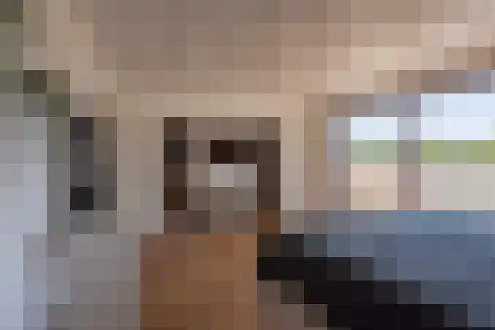 Pappersjans 50 Heerlen thumbnail 19