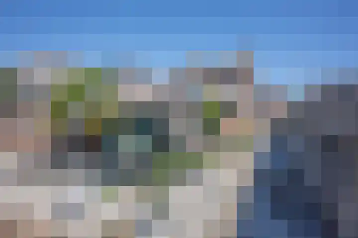 Pappersjans 50 Heerlen thumbnail 33