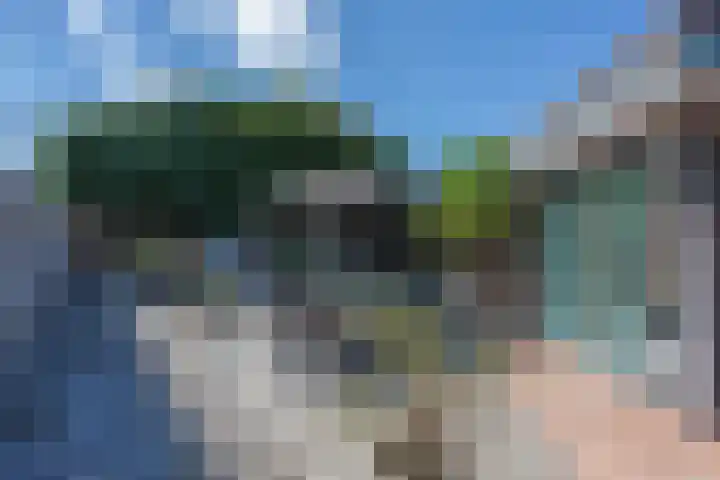 Pappersjans 50 Heerlen thumbnail 35
