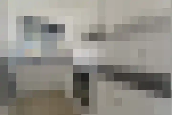 Paprikastraat 21 Hoogvliet Rotterdam thumbnail 6