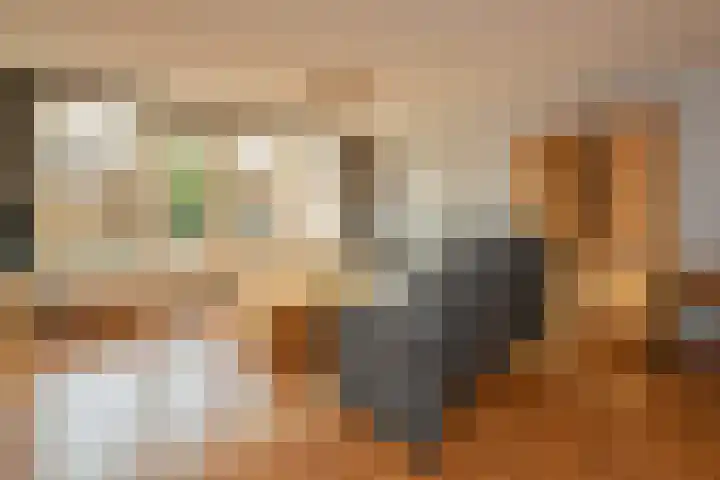 Paprikastraat 9 Wateringen thumbnail 10
