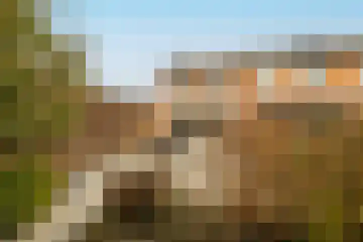 Paprikastraat 9 Wateringen thumbnail 38