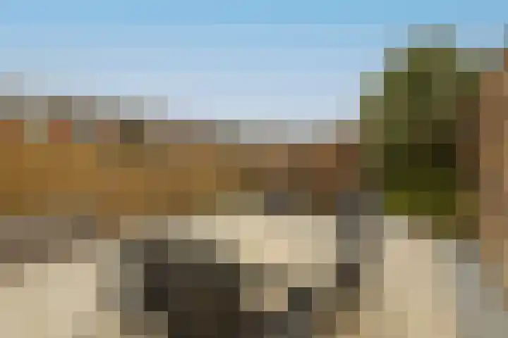Paprikastraat 9 Wateringen thumbnail 4