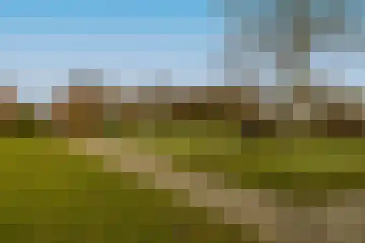 Paprikastraat 9 Wateringen thumbnail 43
