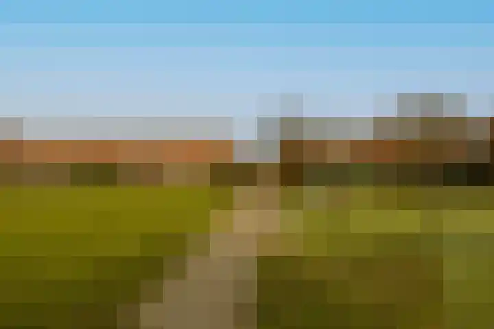 Paprikastraat 9 Wateringen thumbnail 44