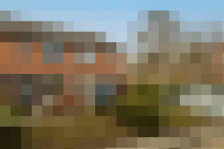 Paprikastraat 9 Wateringen thumbnail 48