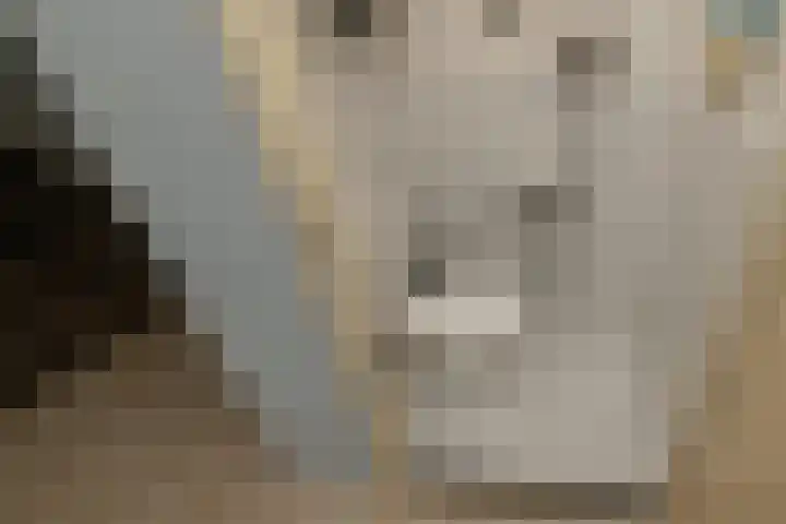 Paprikastraat 9 Wateringen thumbnail 7