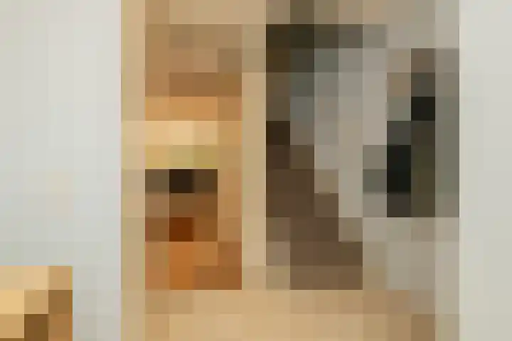 Paprikastraat 9 Wateringen thumbnail 8