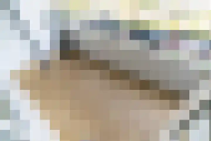 Papsouwselaan 149 Delft thumbnail 14