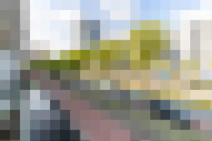 Papsouwselaan 149 Delft thumbnail 17
