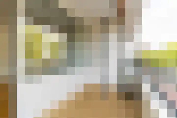 Papsouwselaan 149 Delft thumbnail 18