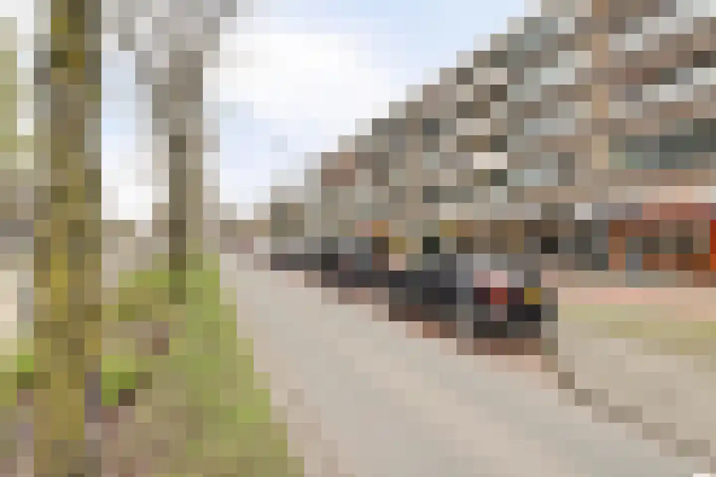 Papsouwselaan 169 Delft thumbnail 7