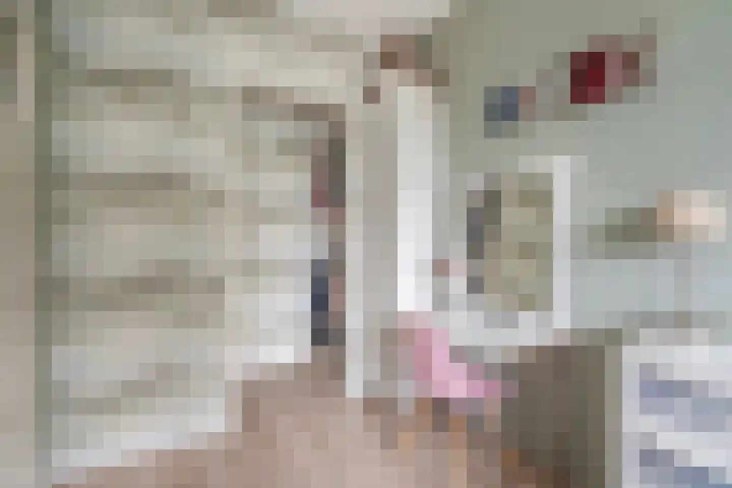 Papsouwselaan 215 Delft thumbnail 27