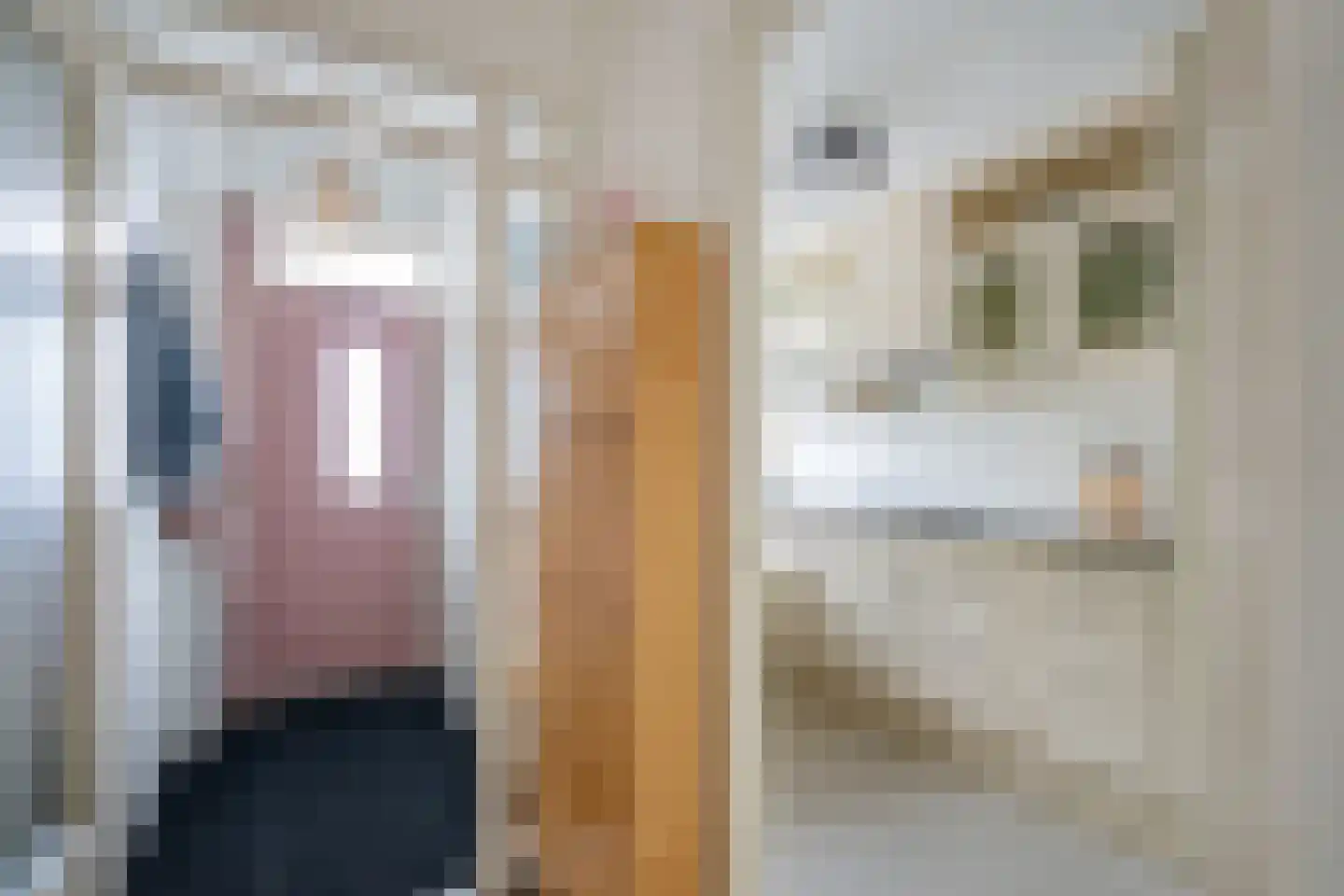 Papsouwselaan 215 Delft thumbnail 9