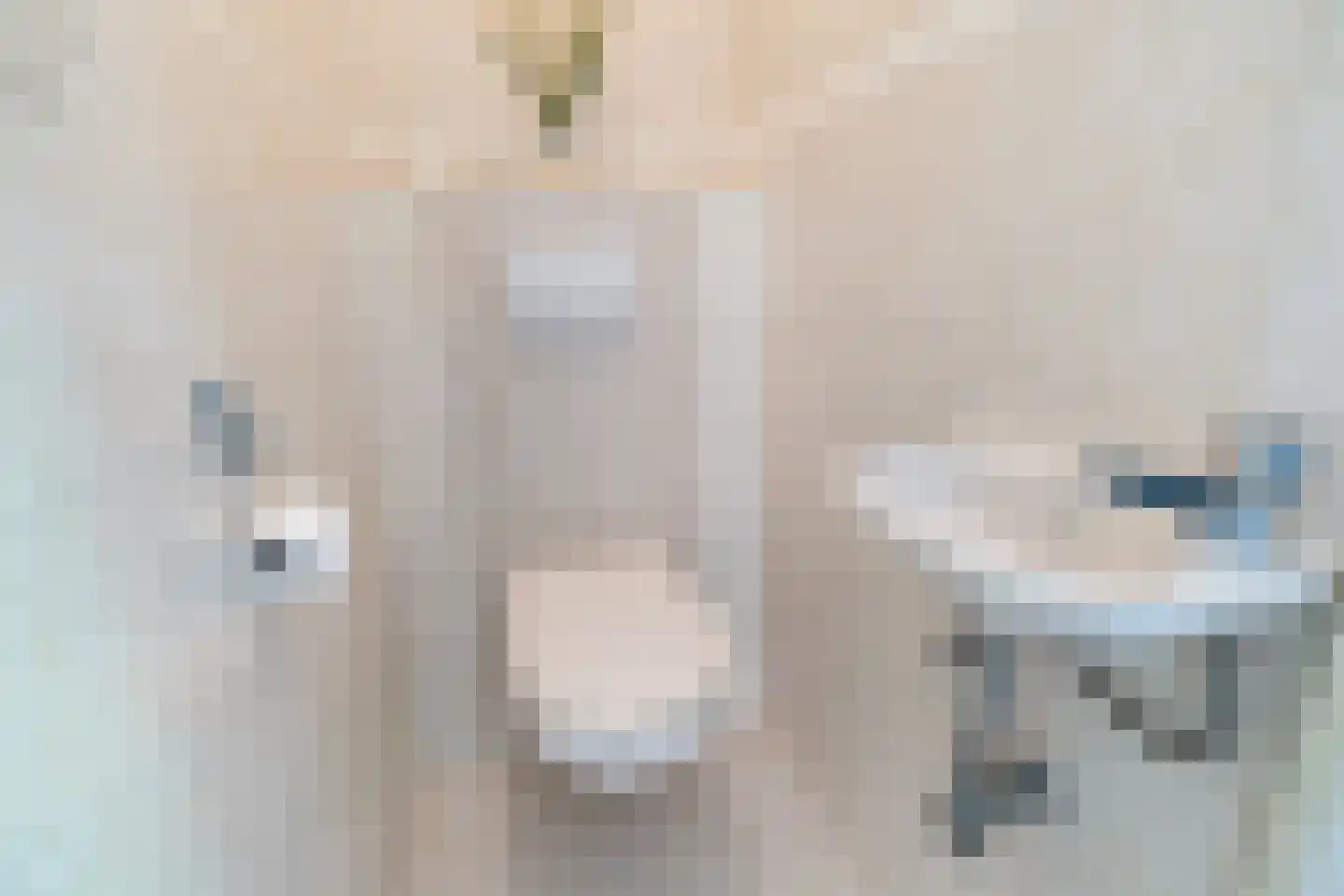 Papsouwselaan 219 Delft thumbnail 11