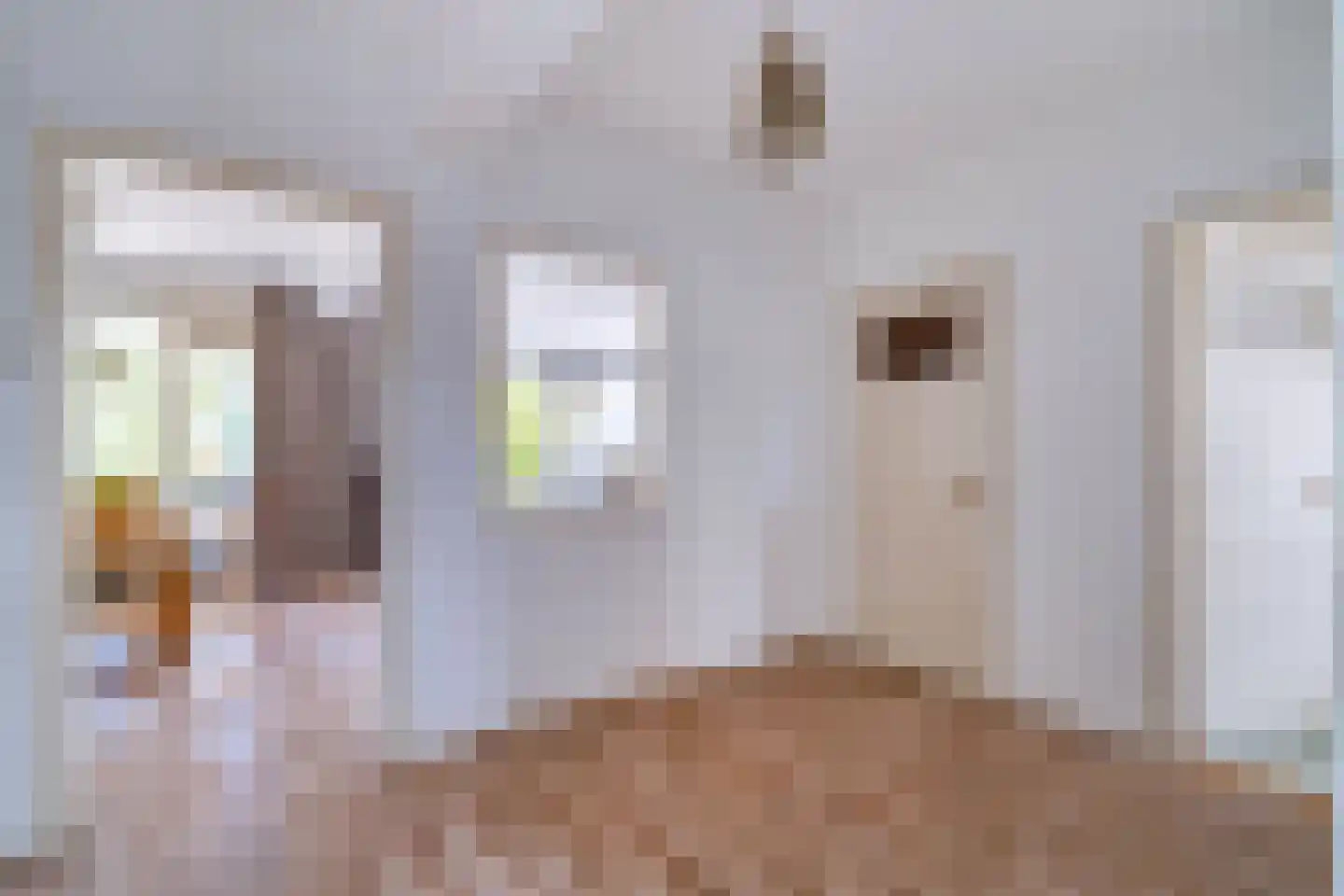 Papsouwselaan 219 Delft thumbnail 12