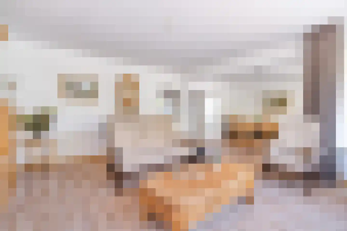 Papsouwselaan 219 Delft thumbnail 18