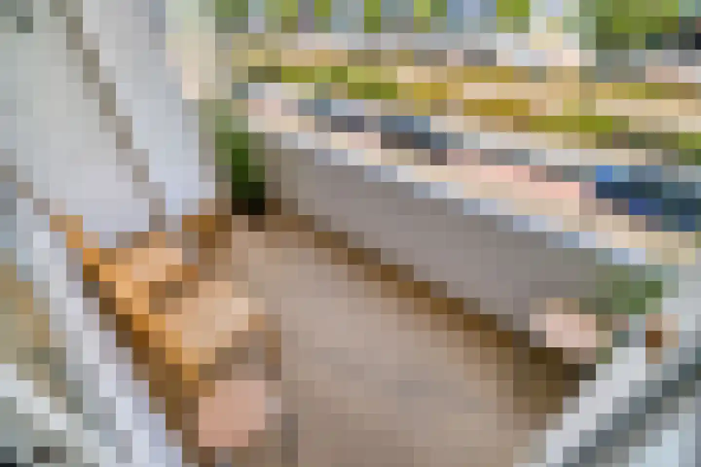 Papsouwselaan 219 Delft thumbnail 22