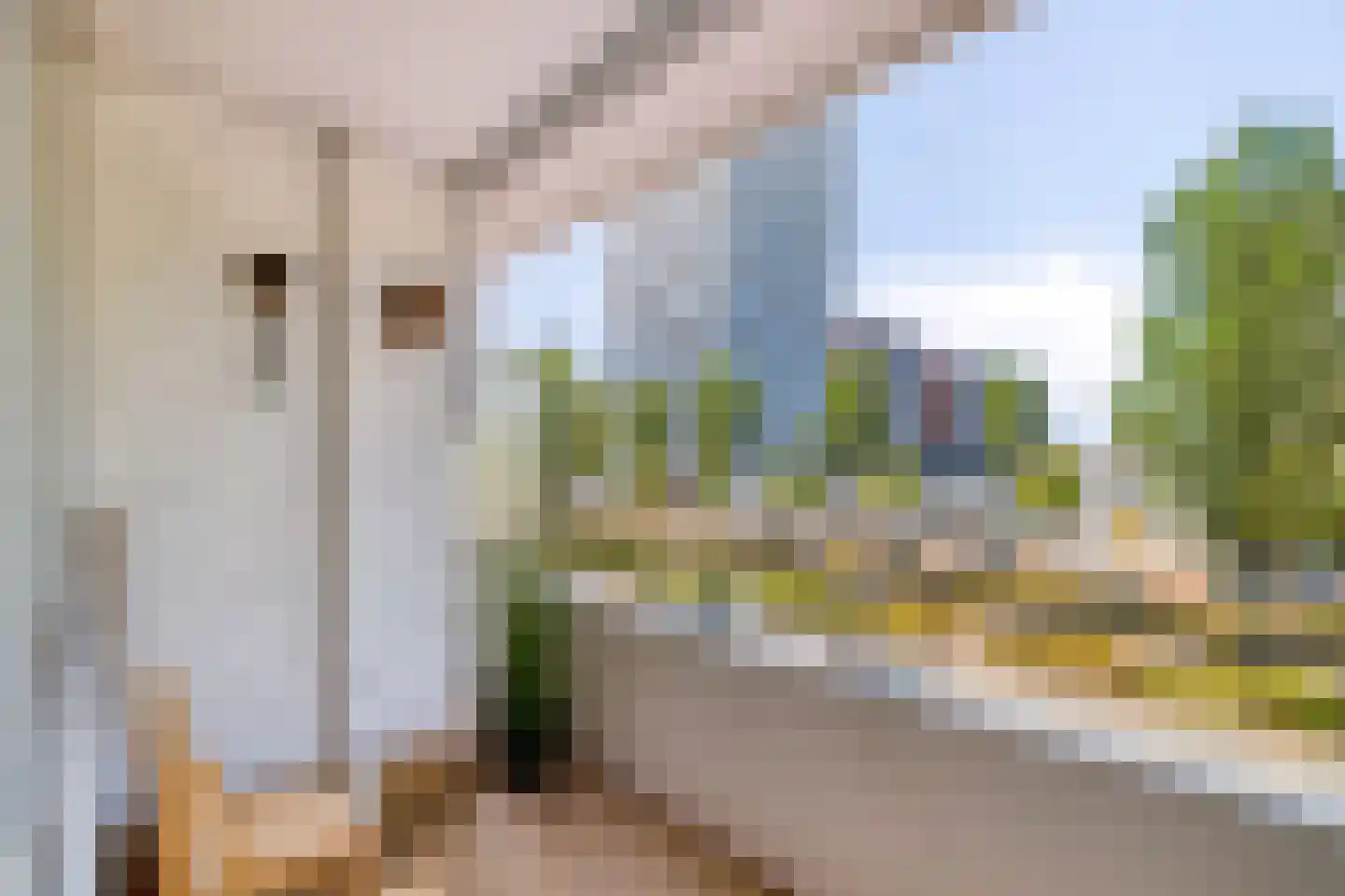 Papsouwselaan 219 Delft thumbnail 23